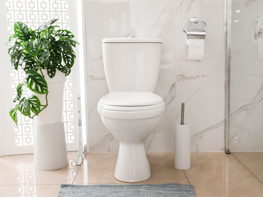 Toilet Installation Courtenay, BC
