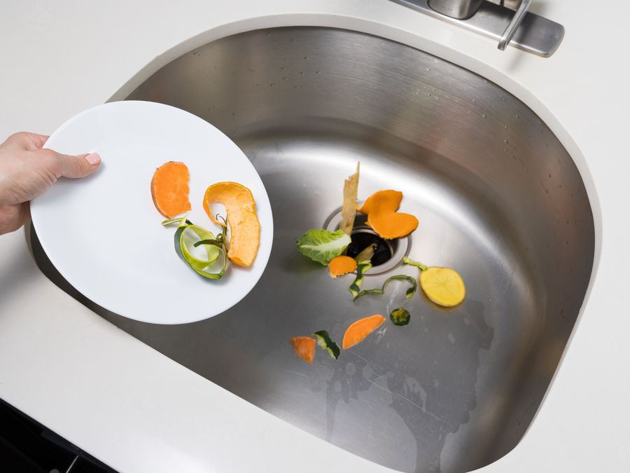 Garburator Garbage Disposal Repair Royston, BC